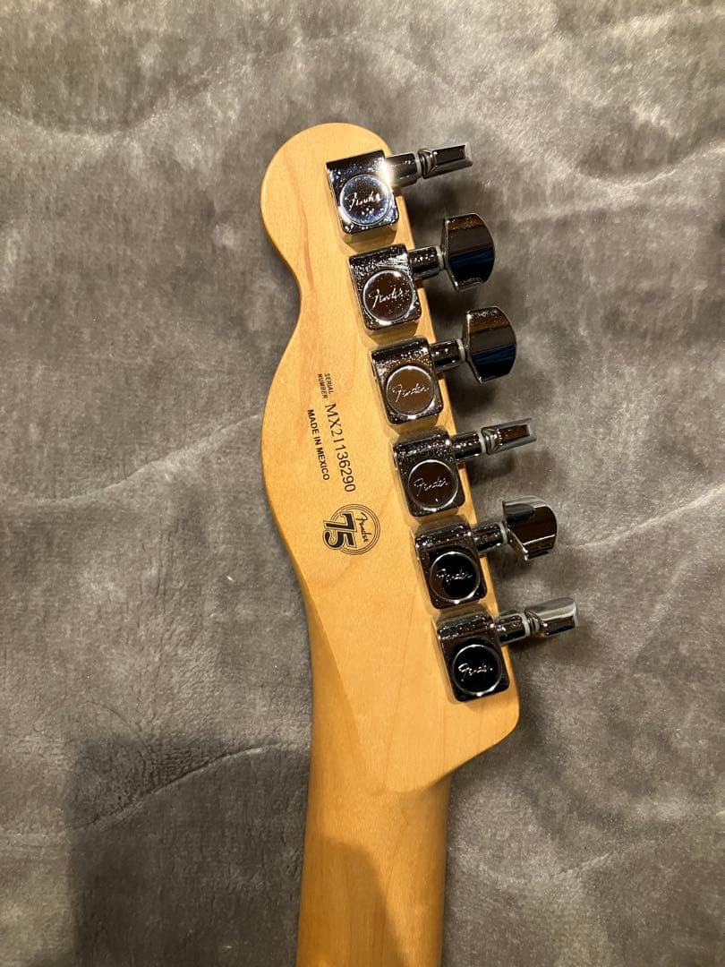 ギター Fender Player Telecaster MN TPL