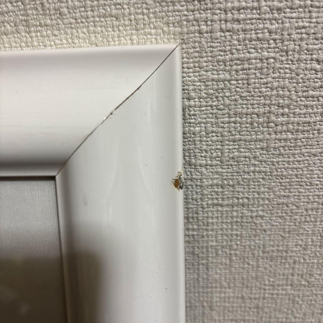 ヒロヤマガタ　シルクスクリーン 限定版 67/250