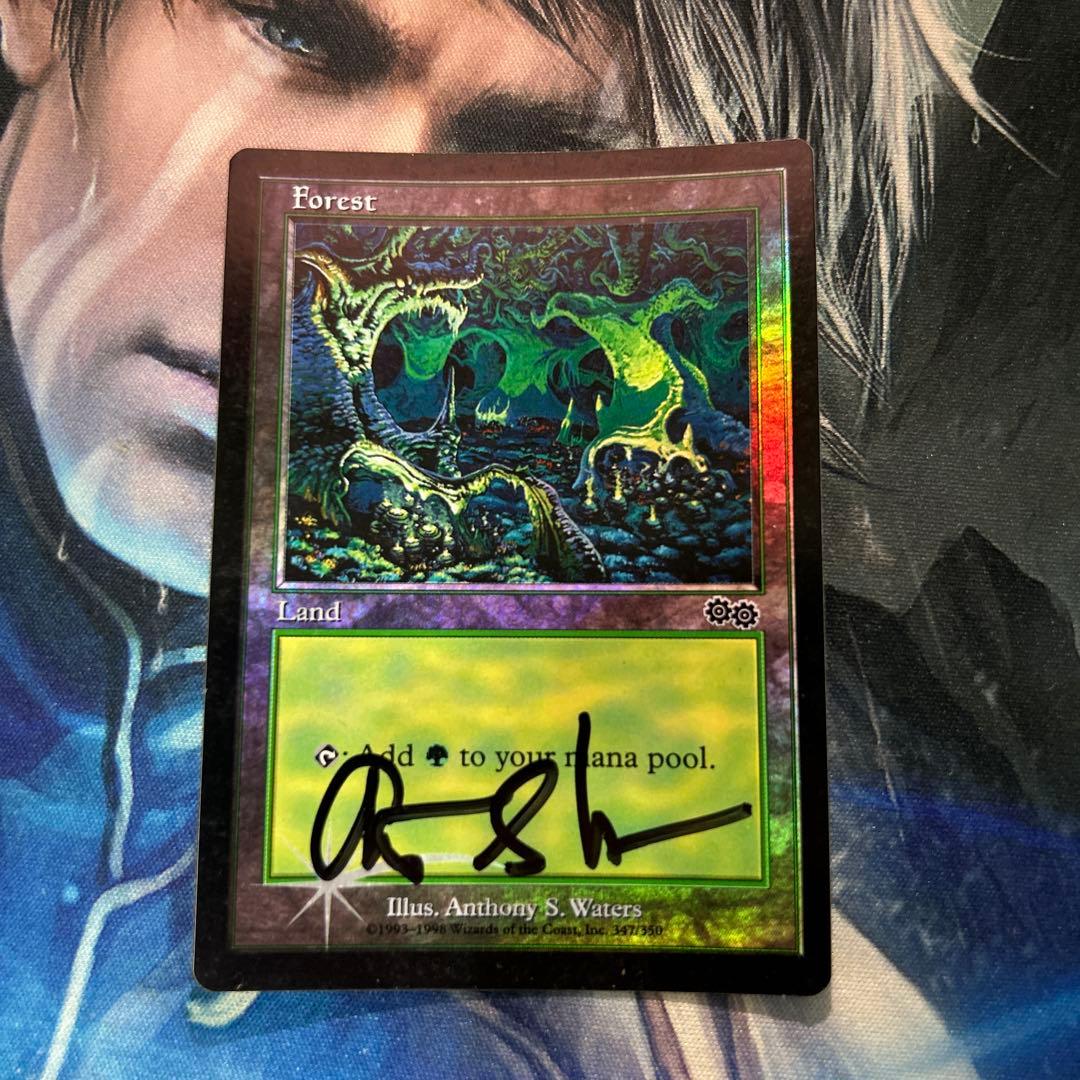 mtg ウルザズサーガ森 Large Star版 英語