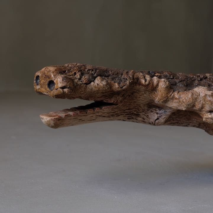 瘤杢 ワニのオブジェ 流木 古材 木製 置物 アート 芸術 アンティーク 古道具