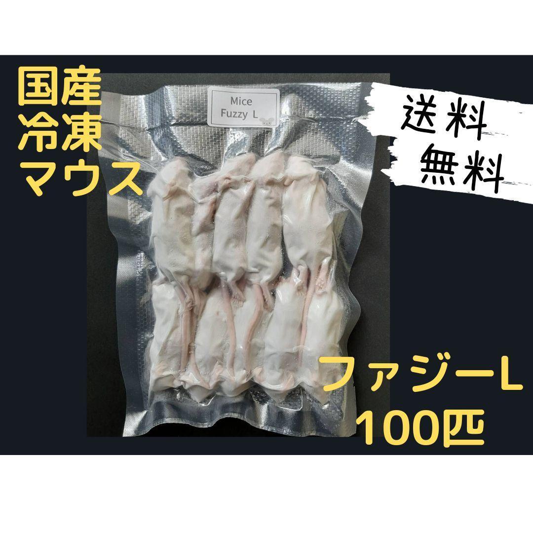 国産 冷凍マウス ファジー L 100匹 (一部地域発送不可)