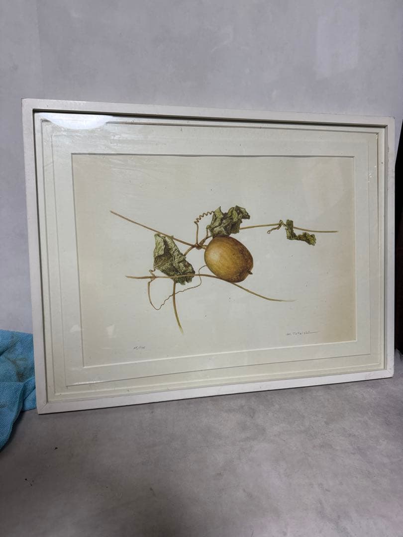 限定25/175 植物写実版画 額装 M.Tateishi ボタニカルアート