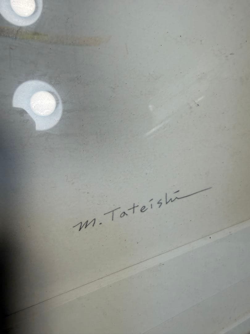 限定25/175 植物写実版画 額装 M.Tateishi ボタニカルアート