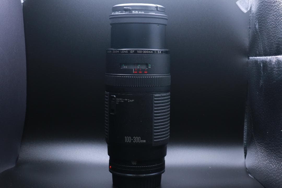 望遠レンズ CANON ZOOM LENS EF 100-300mm F5.6