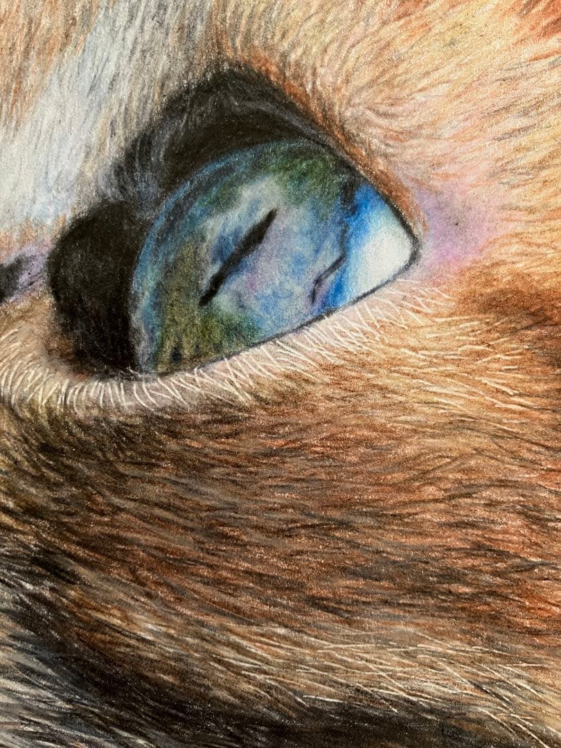 hunt 色鉛筆画 パステル