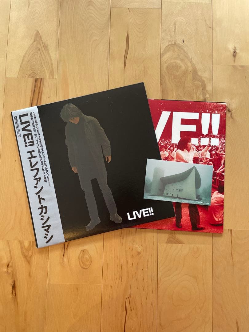 エレファントカシマシ ツアー パンフ LIVE !! エレカシ 宮本浩次