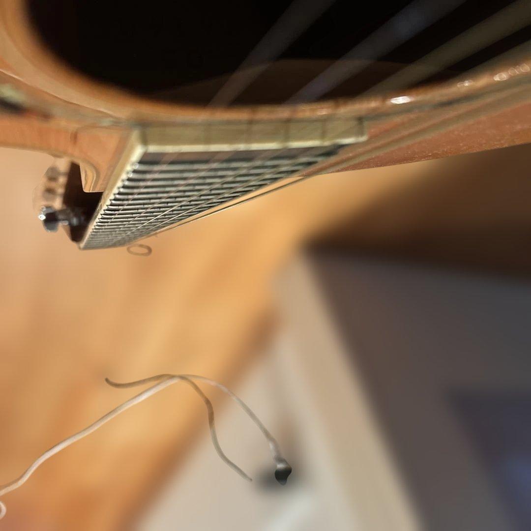 ギター larrivee LV-05