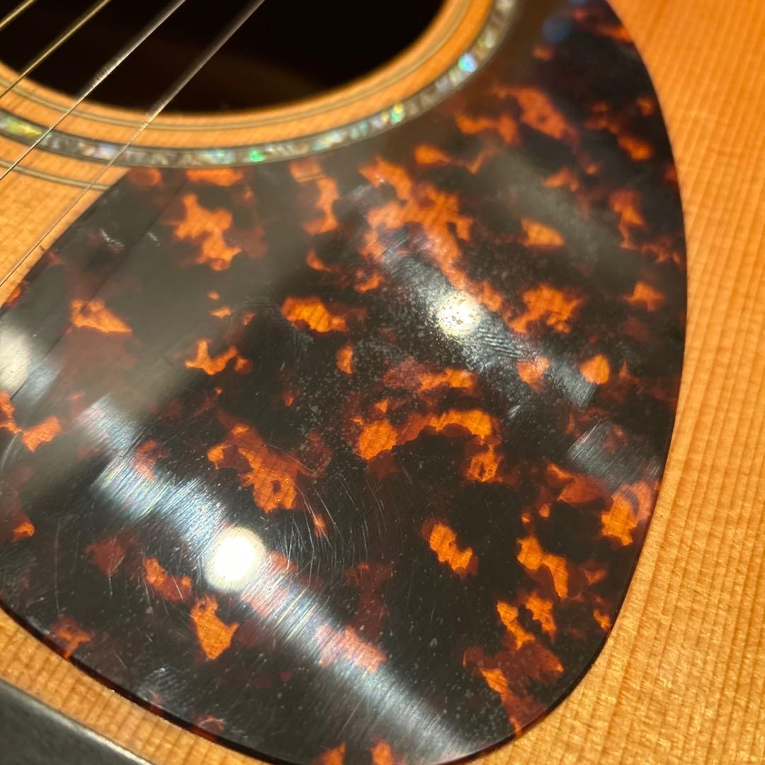 ギター larrivee LV-05