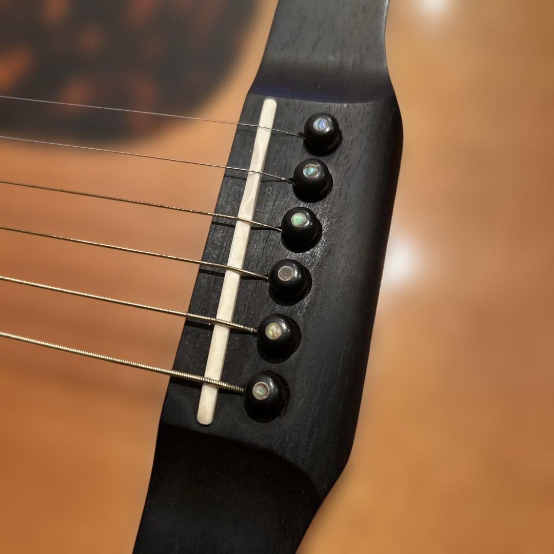 ギター larrivee LV-05