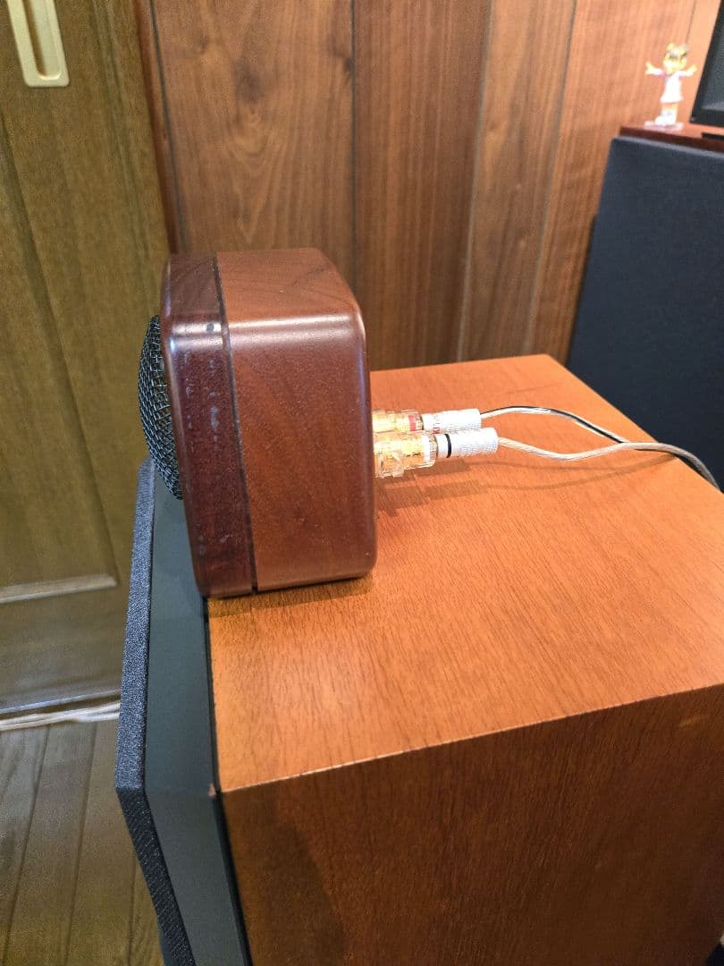 CORAL HD-10スーパーツイ－ターペア　美品