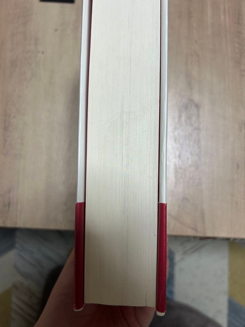 『ボヴァリー夫人』論