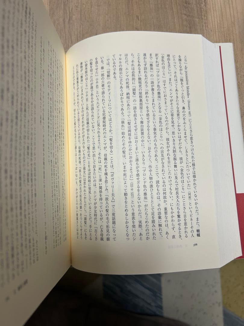 『ボヴァリー夫人』論