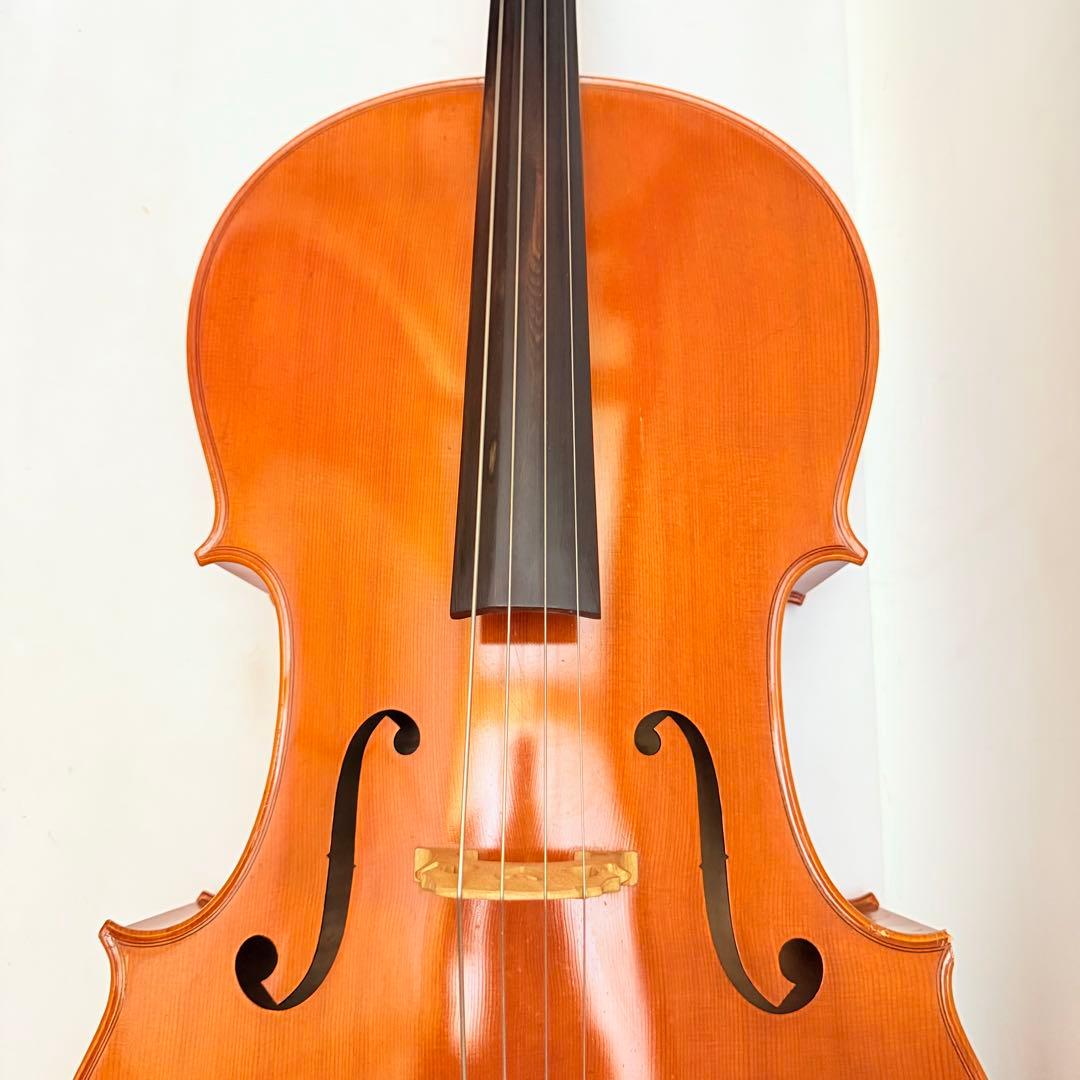 【希少】Pygmalius Derius dc-180ピグマリウス チェロ