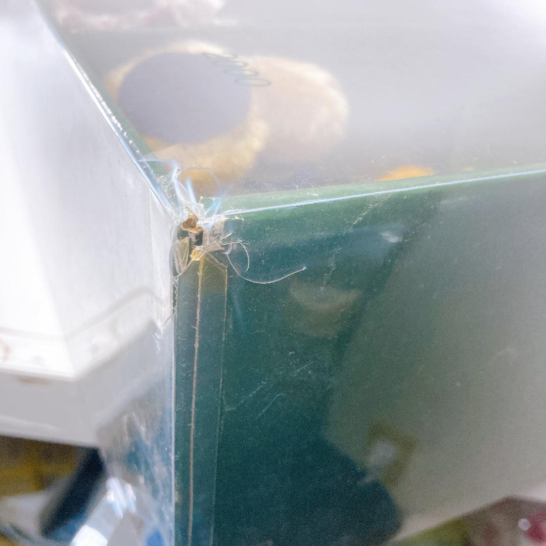 Harrods ハロッズ イヤーベア 15周年 記念セット　テディ |1544|