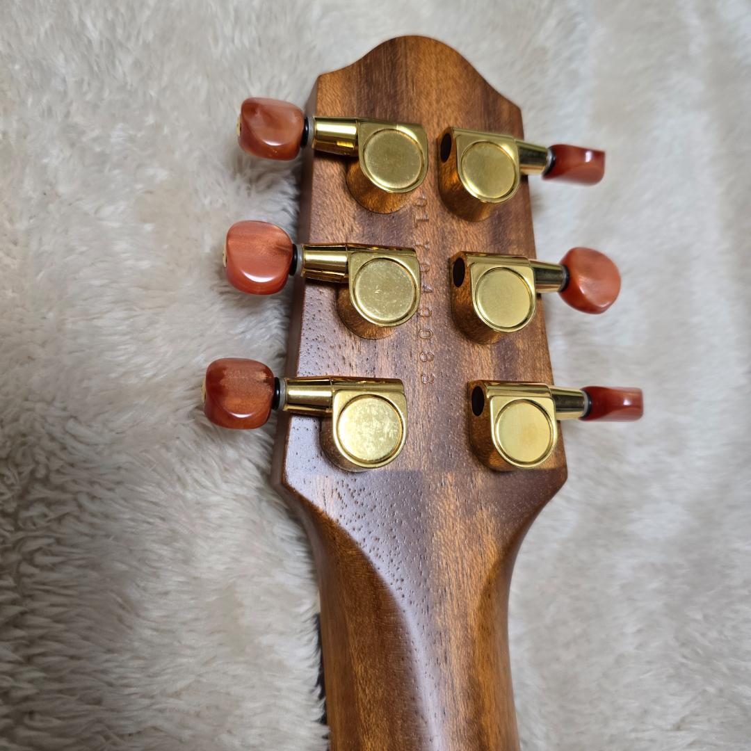 ヤマハ サイレントギター SLG-100S（チューナー、専用ケース、スタンド付）