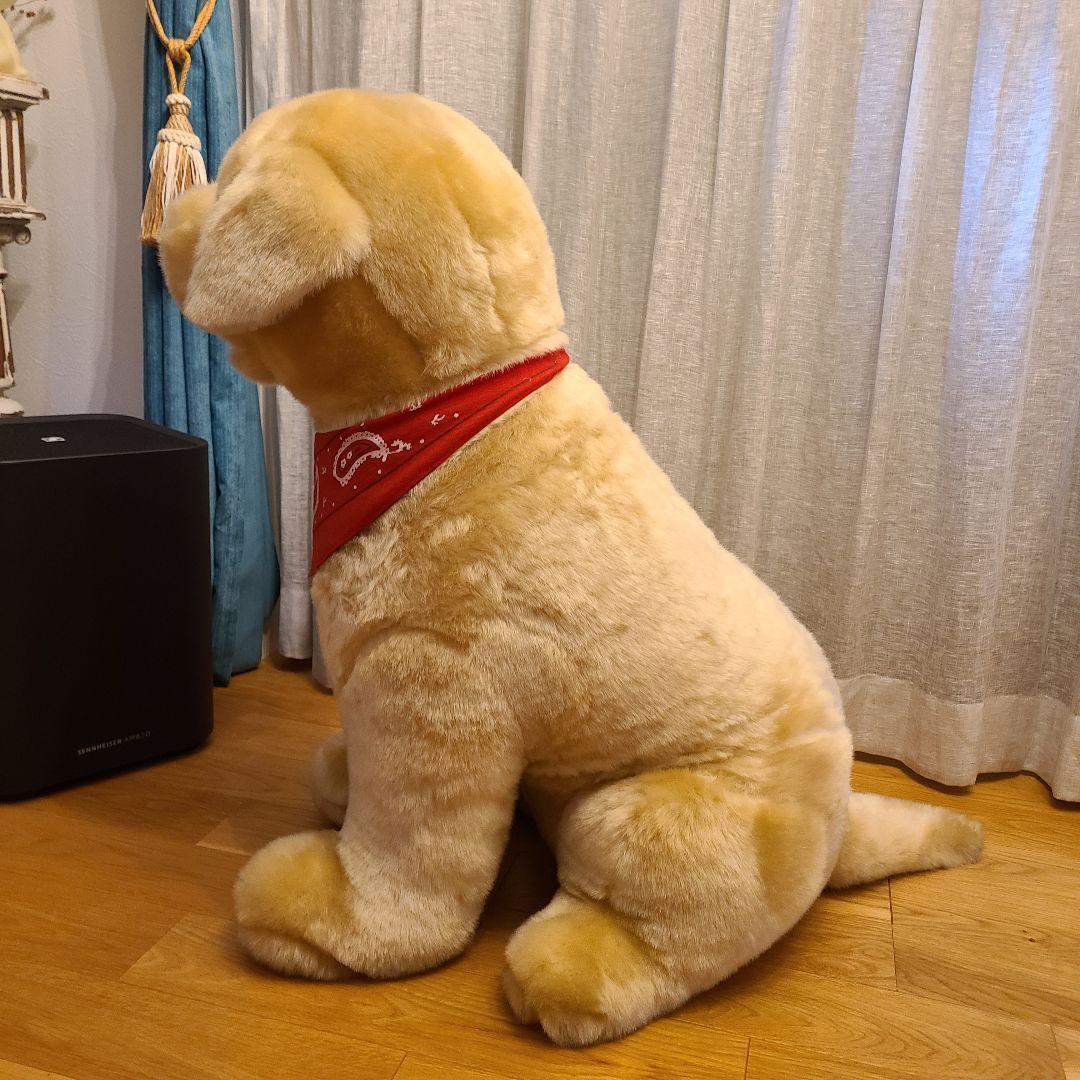 ポチたま　まさお君が行く　ペットの旅　LOVEまさお君が行く　ラブラドール