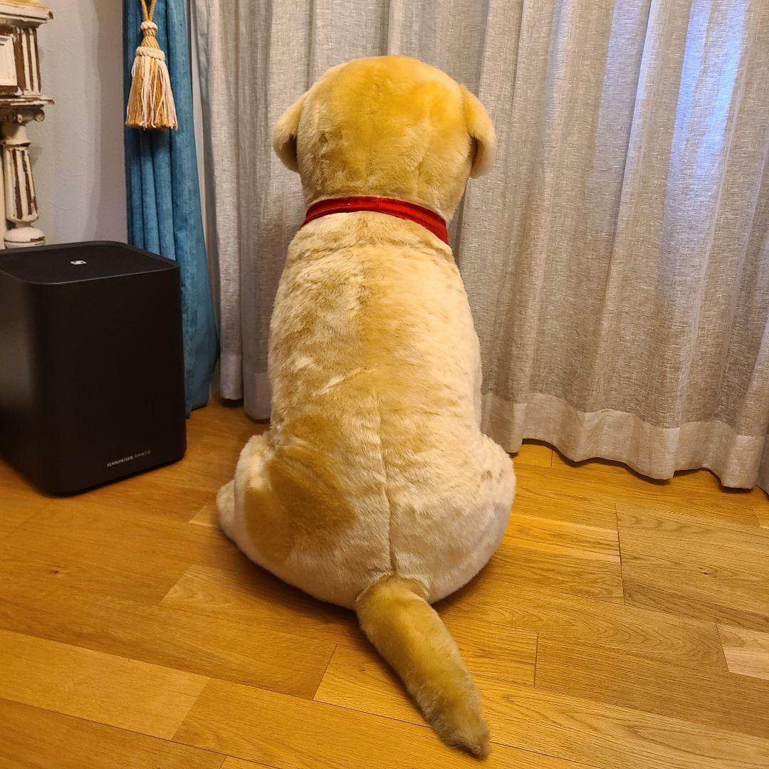 ポチたま　まさお君が行く　ペットの旅　LOVEまさお君が行く　ラブラドール