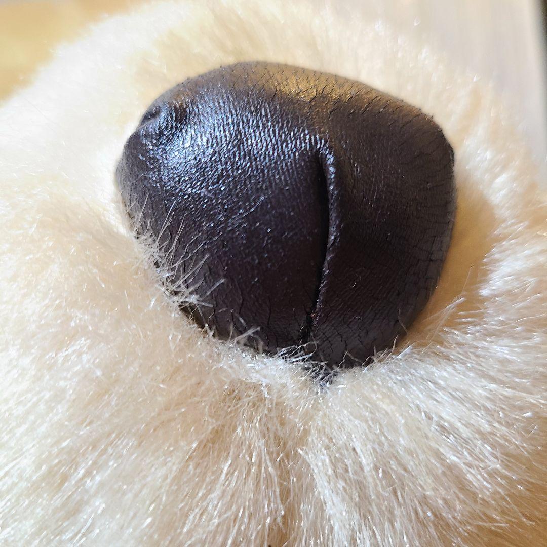 ポチたま　まさお君が行く　ペットの旅　LOVEまさお君が行く　ラブラドール