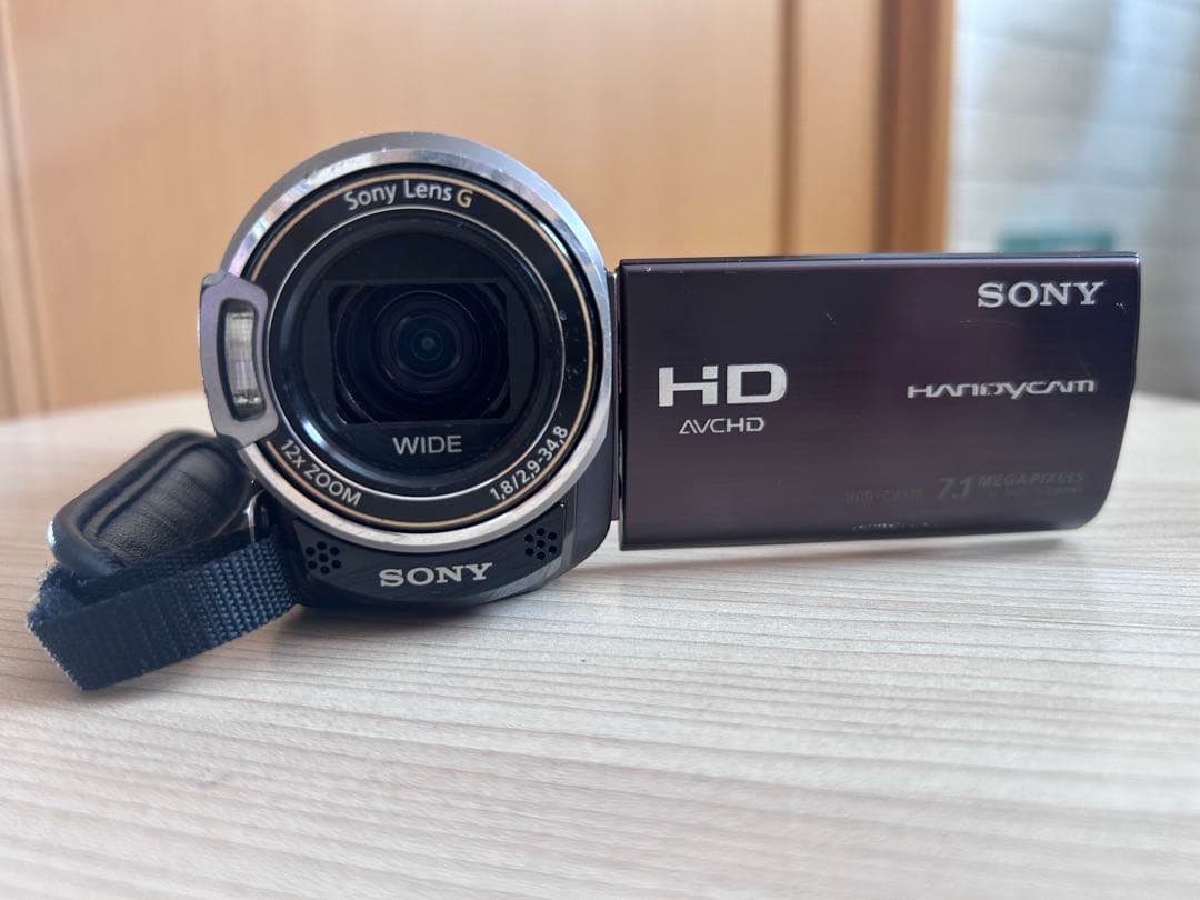 SONY ハンディカム HDR-CX370V 本体＋バッテリー2個＋付属品
