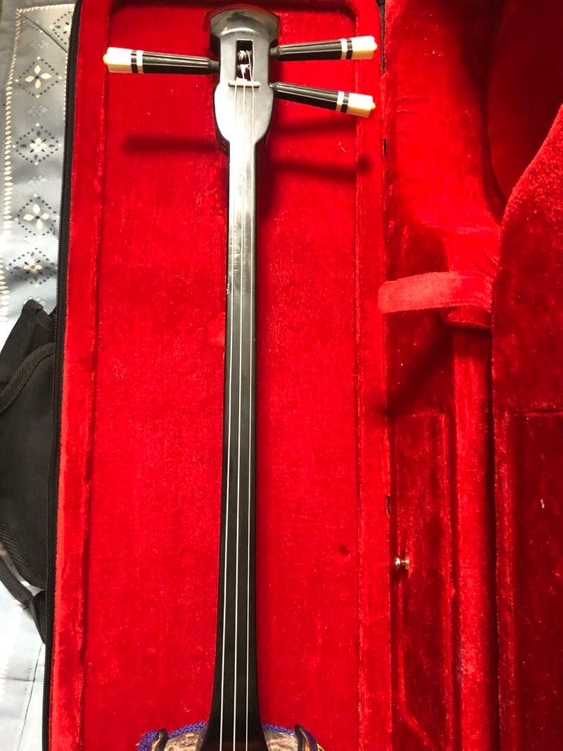 【美品】初心者向け三線本体、ハードケース付き（ハードケース金具一部にサビあり）