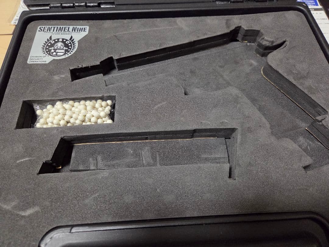 センチネルナイン　レオン専用モデル