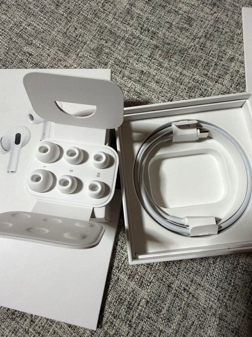 Apple iPhone 13 Pro Max シエラブルー　256GB