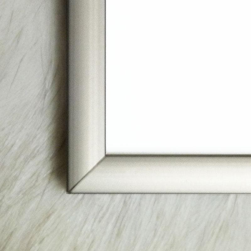 額装品/フルーツボールの構図（パブロ ピカソ）