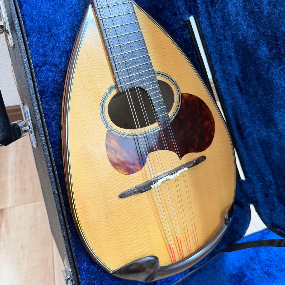 【最上位機種】SUZUKI スズキ　マンドリン　M-150 ハードケース付