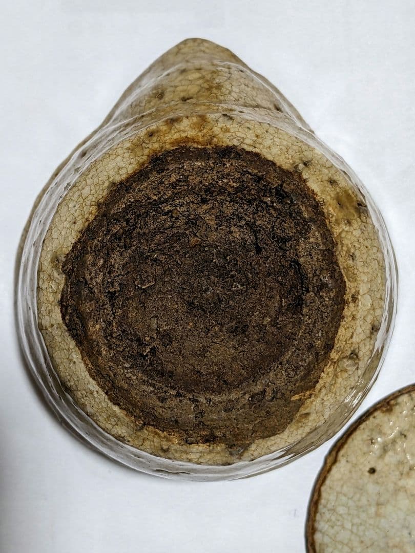 ♦江戸時代 幕末〜明治時代 煎茶道具 急須 古美術コレクション骨董品アンティーク