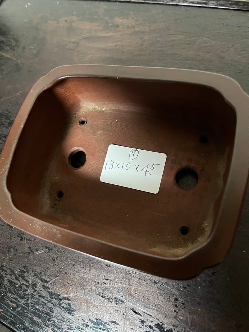 470 盆栽　盆栽鉢　植木鉢　和鉢　美芸