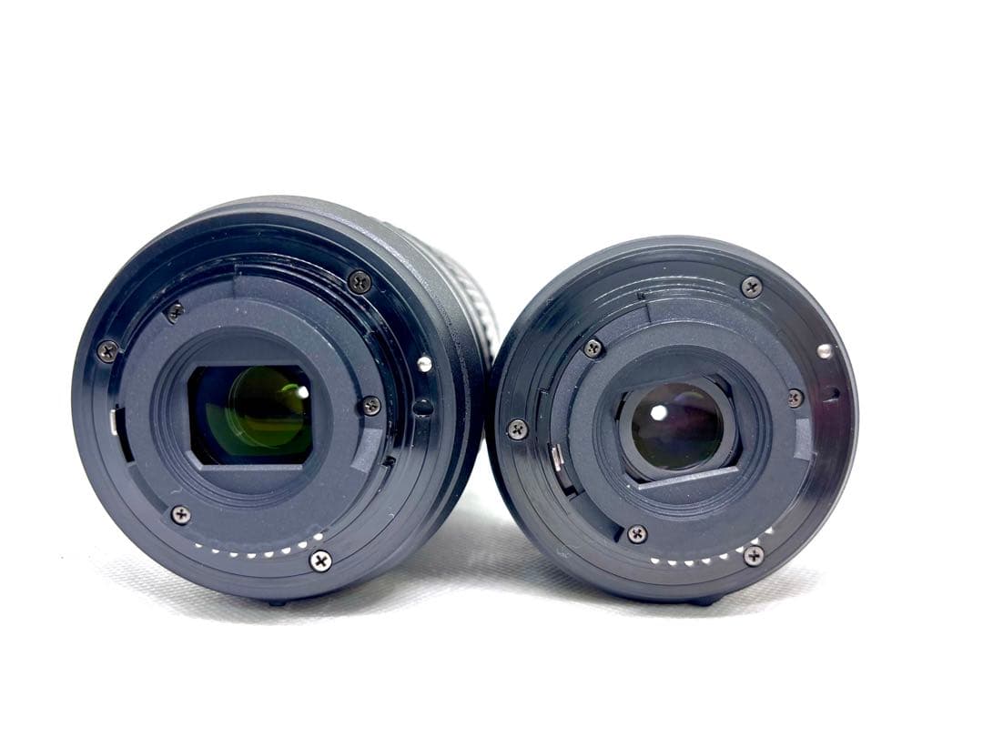 【美品、シャッター数2900回極小】ニコン Nikon D5600 ダブルズーム