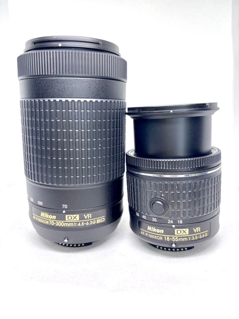 【美品、シャッター数2900回極小】ニコン Nikon D5600 ダブルズーム