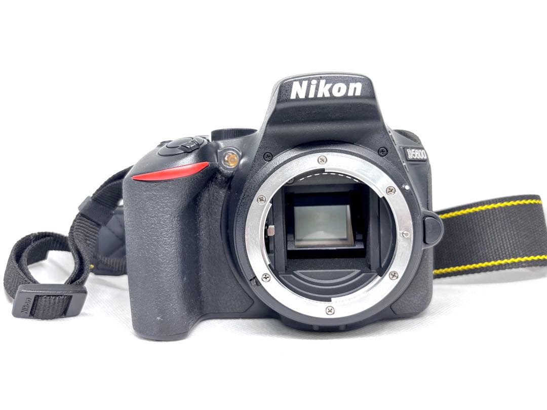 【美品、シャッター数2900回極小】ニコン Nikon D5600 ダブルズーム