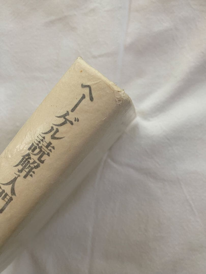 【絶版】ヘーゲル読解入門　国文社