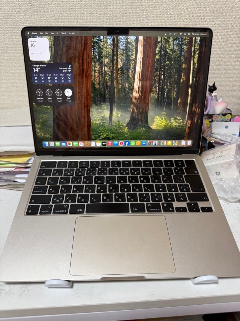 MacBook本体 MacBook Air (M3, 8GB, 256GB)