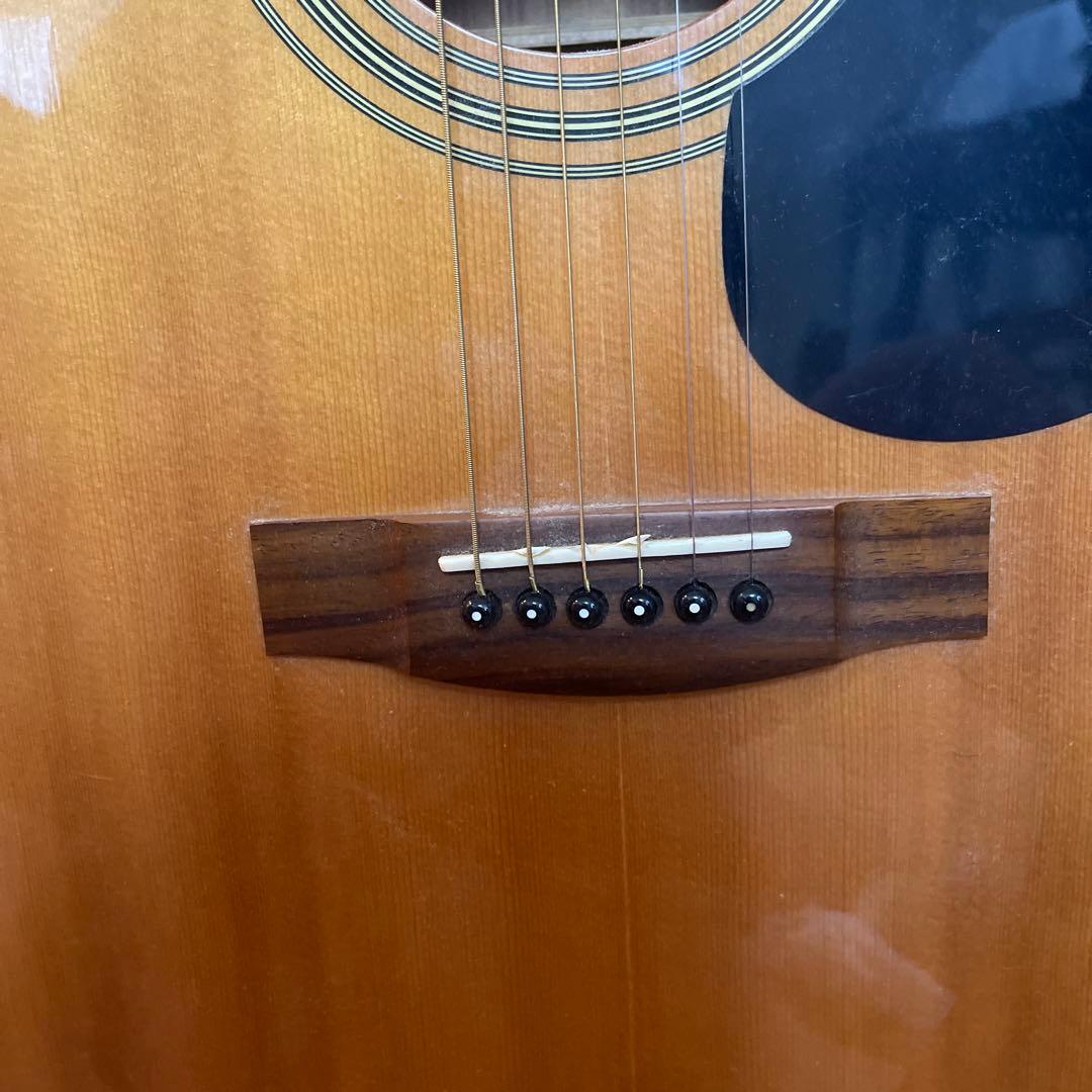 Stafford & Co. SF - 300 アコースティックギター セット