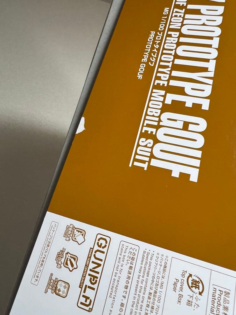 MG 1/100 プロトタイプグフ