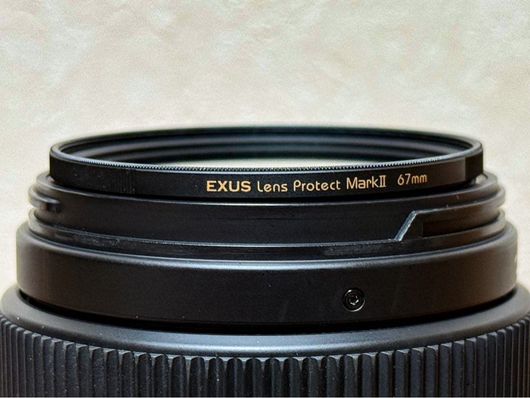 レンズ(ズーム) SIGMA 100-400mm F5-6.3 DG OS HSM