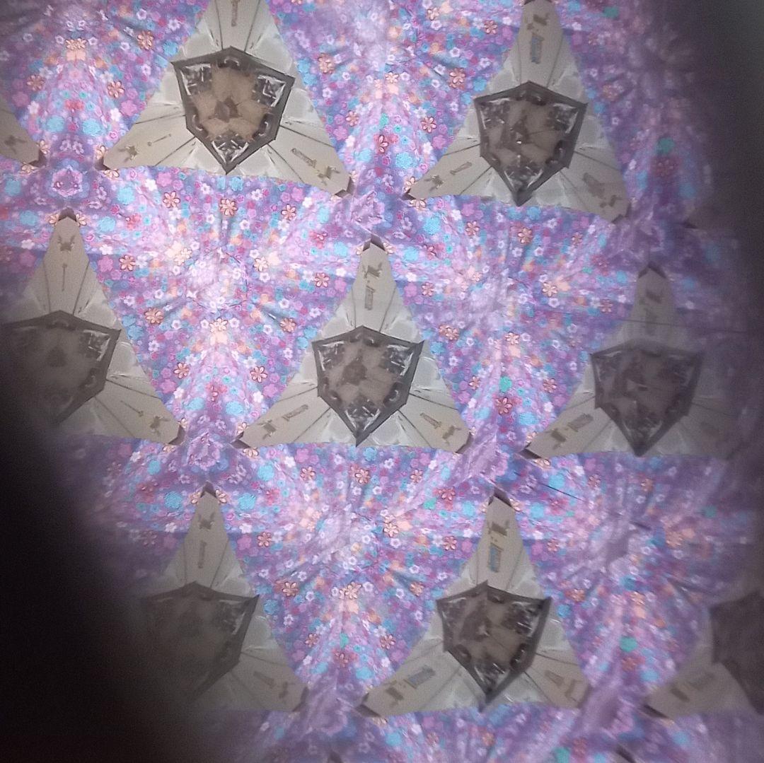 【廃盤品】香蘭社・有田焼万華鏡「カーネーション」