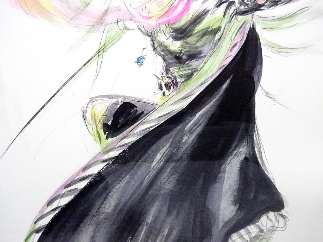 #天野喜孝 #オーダー原画 #吸血鬼ハンターD #共箱 #アールビバン保証書