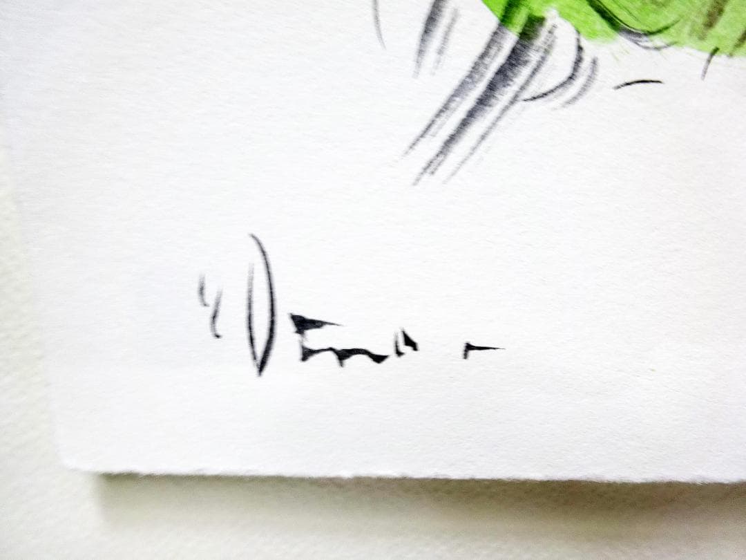 #天野喜孝 #オーダー原画 #吸血鬼ハンターD #共箱 #アールビバン保証書