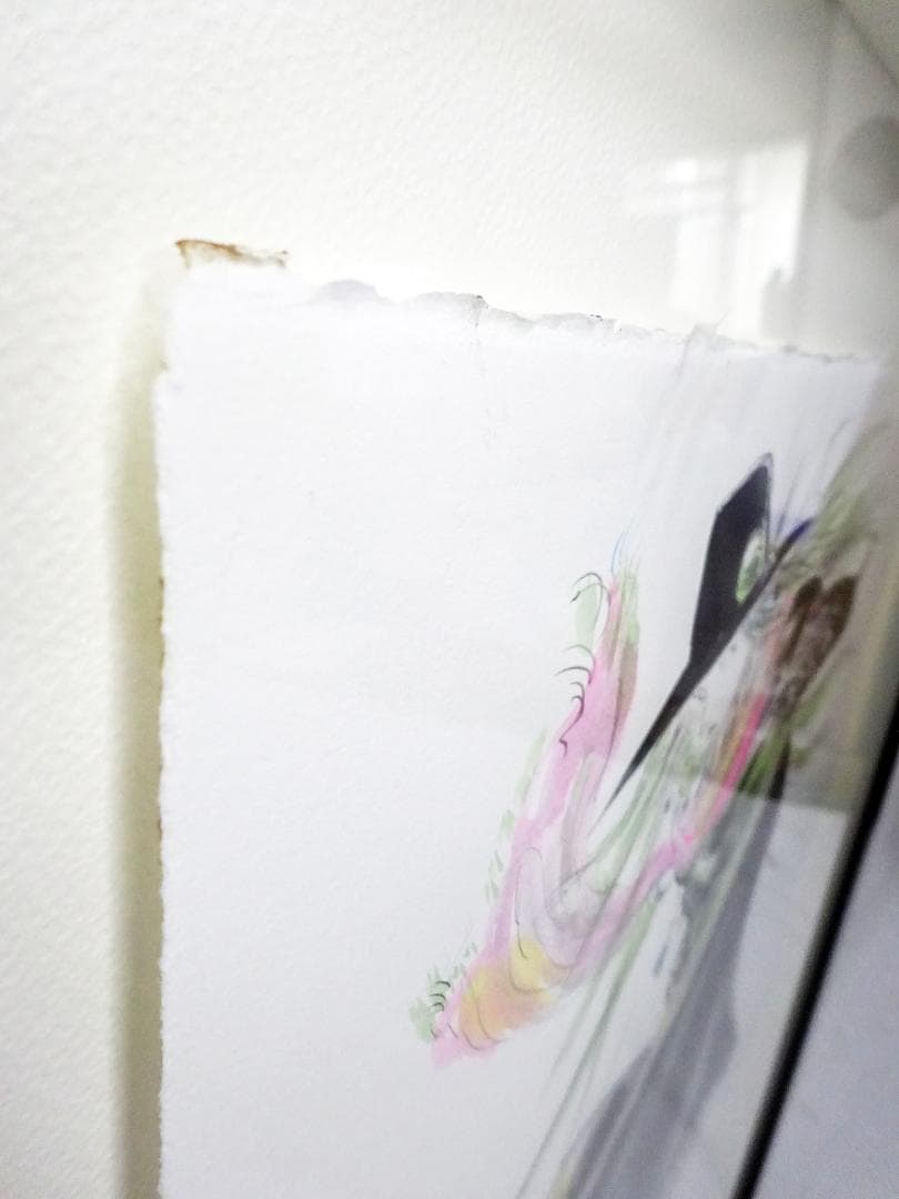 #天野喜孝 #オーダー原画 #吸血鬼ハンターD #共箱 #アールビバン保証書