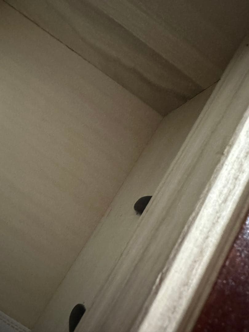 和風アンティーク　箪笥　美品（1454）