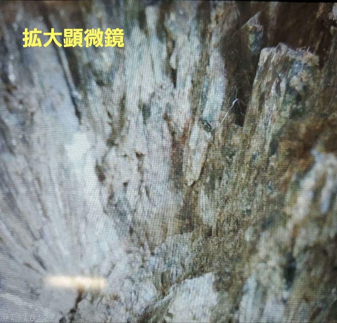 【貴重】灰鉄輝石 菊寿石 岐阜県 山県市 柿野東洞 柿野鉱山 鉱石 原石 国産