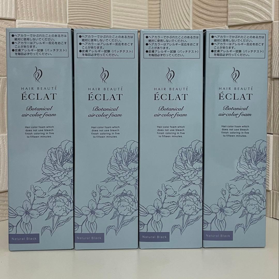ヘアボーテ エクラ ボタニカル エアカラーフォームup ナチュラルブラック4本