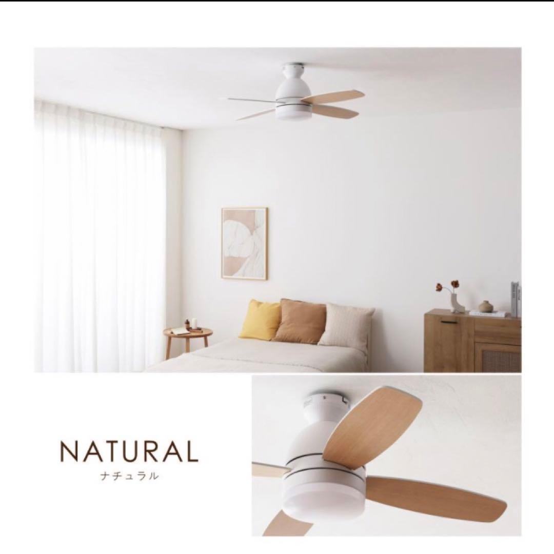 【再値下】シーリングファンライト(フォルテ)￼調光