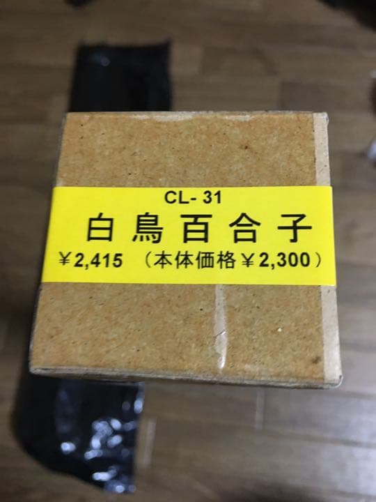 ★新品未開封品★白鳥百合子 2008年カレンダー