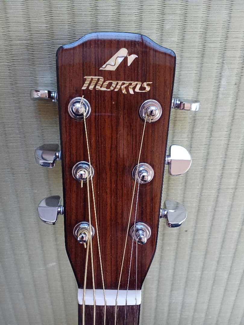 【送料込】モーリス　MW650P　トップ単板　生ギター　整備済新品弦　リペア品