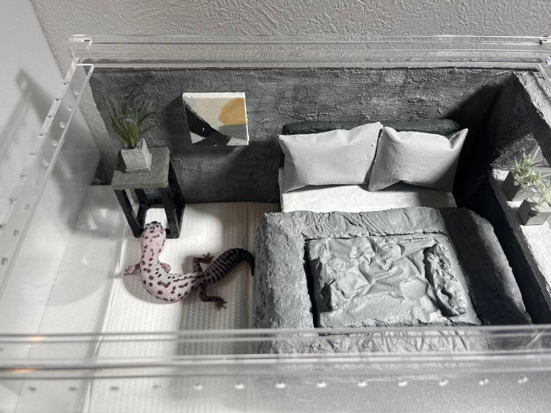 レプタイルボックス付き　レイアウトセット