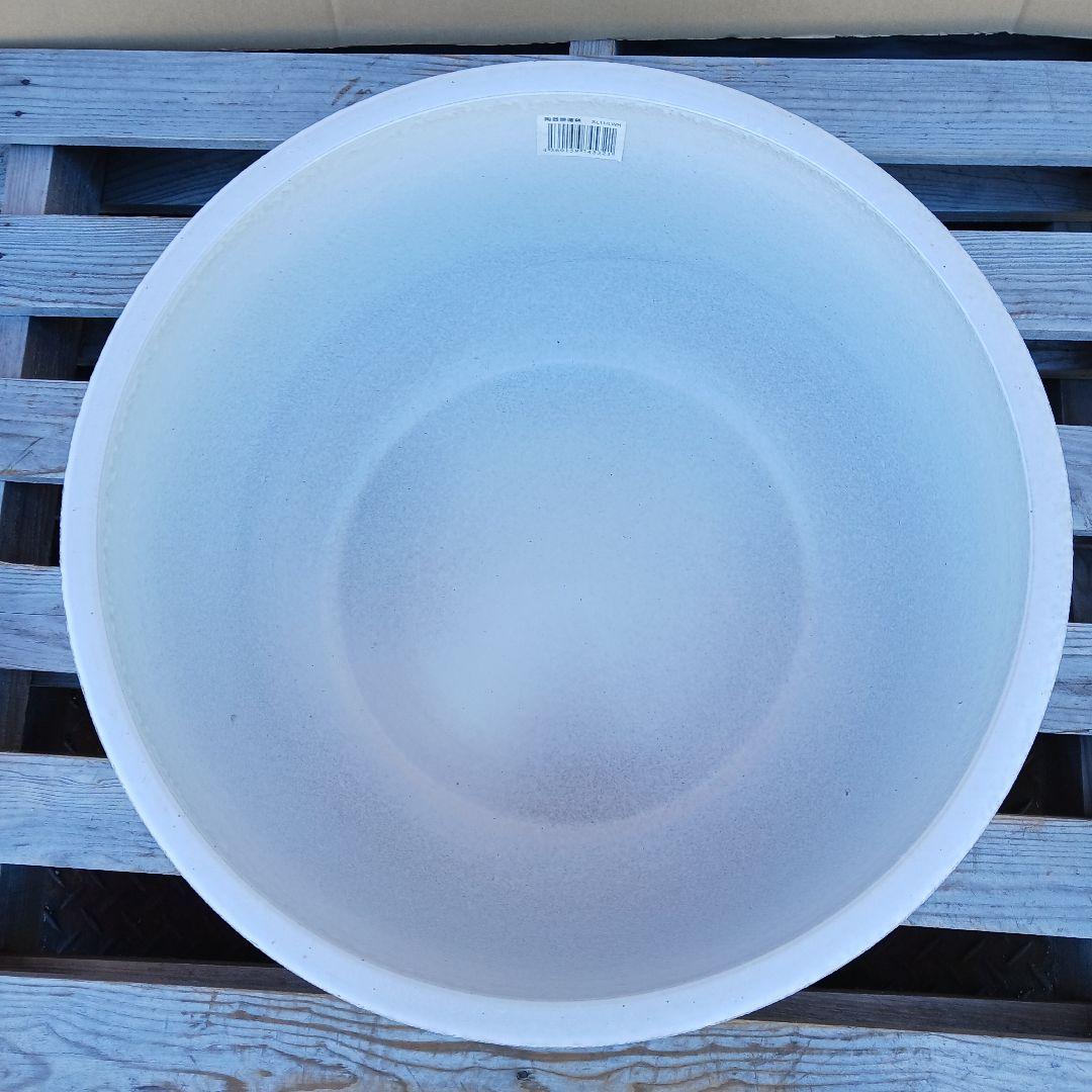 新品　特大Φ50　陶器　睡蓮鉢　メダカ鉢　難有　白　ホワイト　ルーバー高級LWH